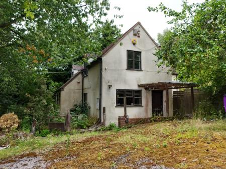 Media image 17