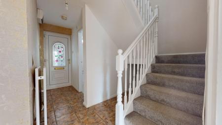 Media image 09