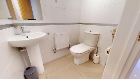 Media image 12