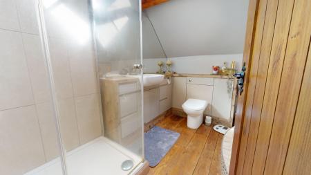 Media image 19