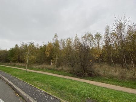 National Forest & walks on the doorstep!