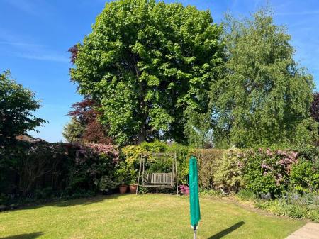 A sunny spot in the south facing garden