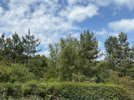 OUTLOOK FROM FRONT WINDOWS.JPG