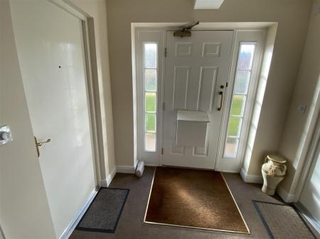image11