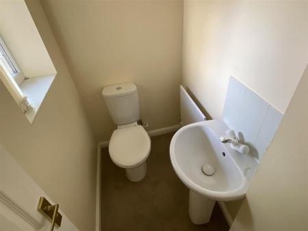 image11