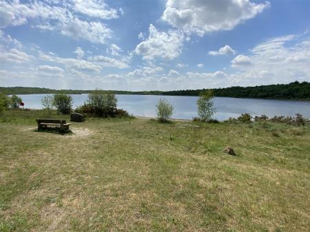 image12