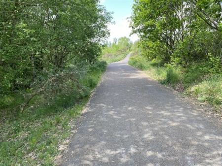 image16