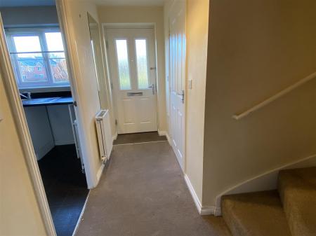 image11