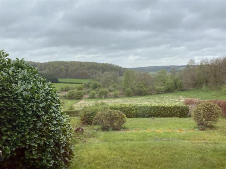 image15