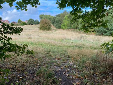 image15