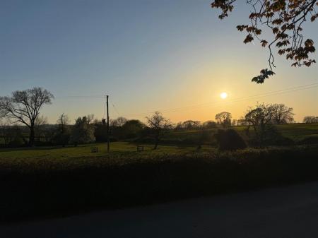 sunset.jpg