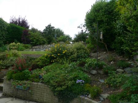 Photo 07