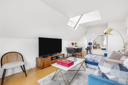 James lane-sw14__1_.JPG