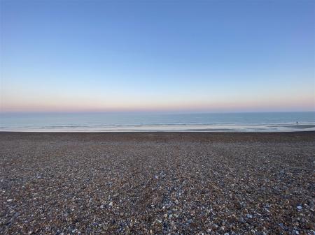 IMG_6751.jpg