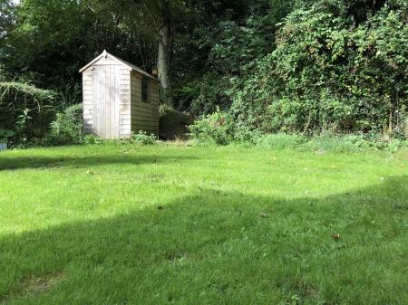 IMG-1650.jpg
