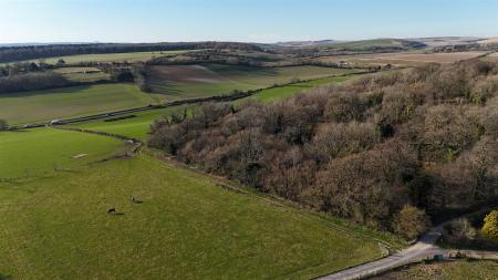 DJI_20250320161834_0031_D.JPG