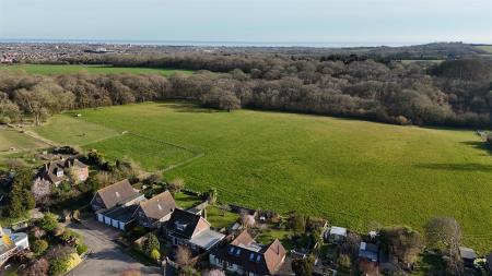 DJI_20250320161847_0034_D.JPG