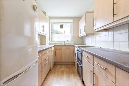 Seabright 44-005.JPG