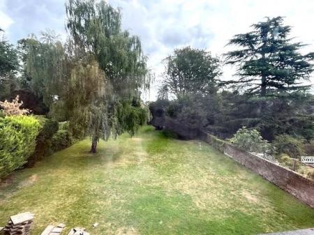 Garden.jpg