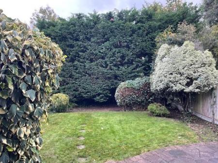 Garden 1   21.10.25.jpg