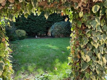 Garden.jpg