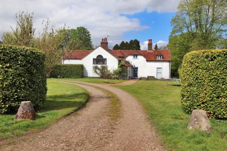 Driveway to Main House.jpg