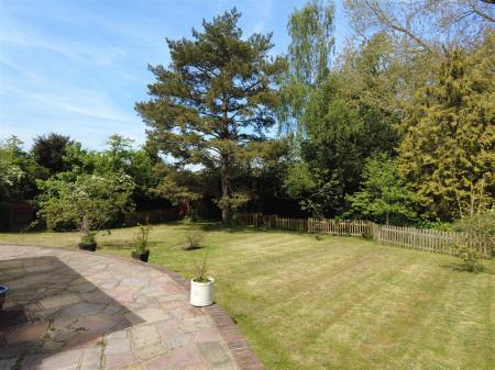Garden 2.JPG