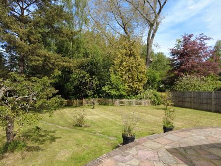 Garden 3.JPG