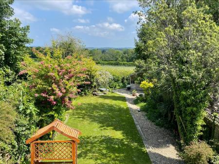 new garden photo