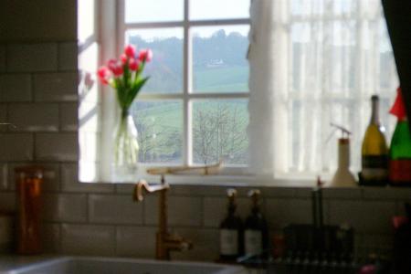 5 - Kitchen View.jpg