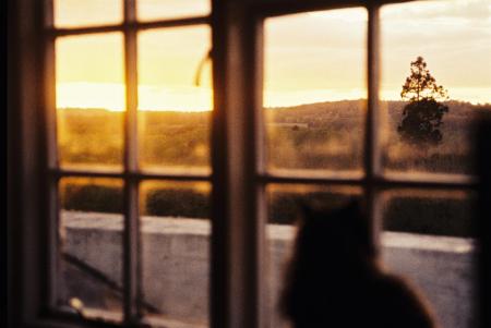16 - Bedroom Sunset View.JPG