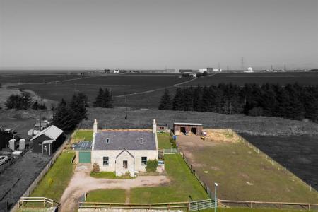 DJI_0237.jpg