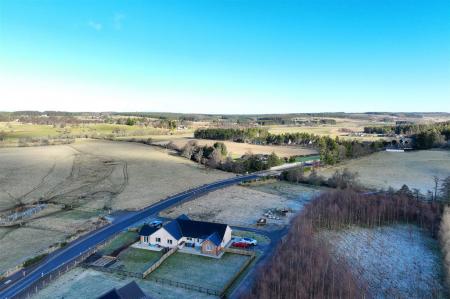 DJI_0127.jpg