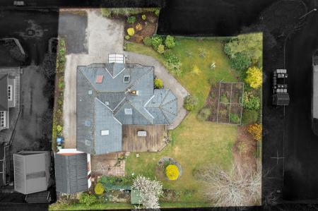 DJI_0552.jpg