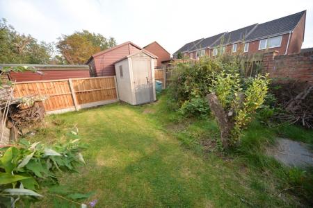 Garden 3.jpg