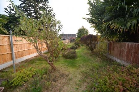 Garden 2.jpg