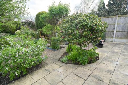 Garden 2.jpg