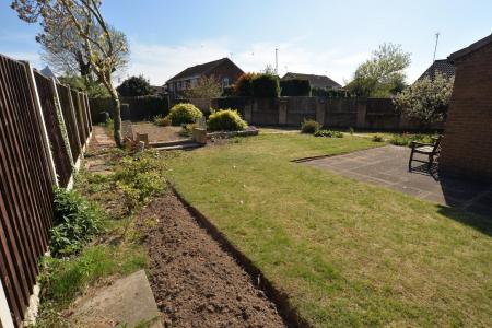 Garden.jpg