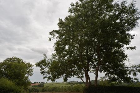 The surrounding view.jpg