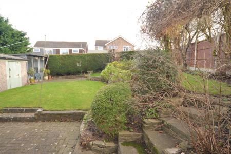 Garden 3.jpg
