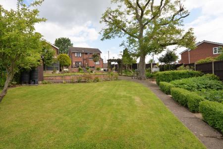 Garden 3.jpg