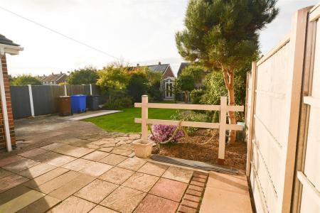 rear patio.jpg