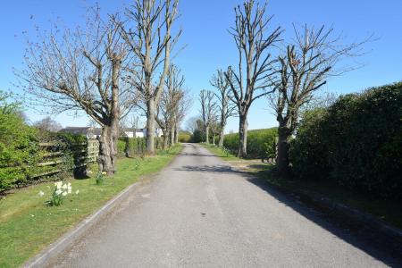 Drive from Road.jpg