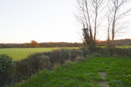 View.jpg