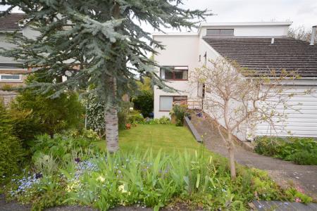 Front Garden.jpg