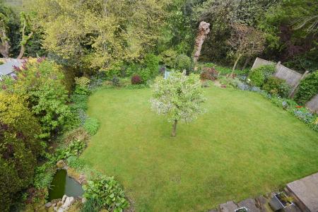 Garden.jpg