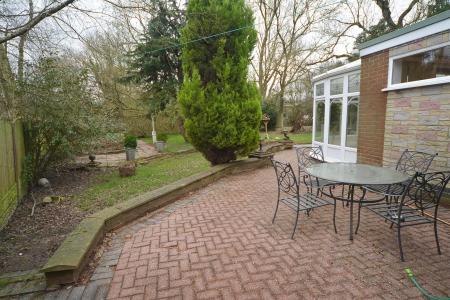 Patio and garden.jpg