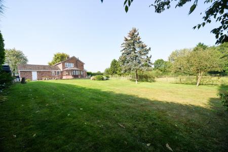 View of house and garden.jpg