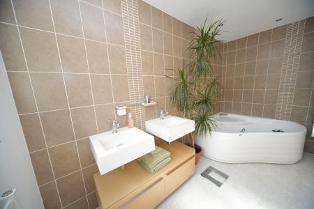 Principal en suite bathroom.jpg