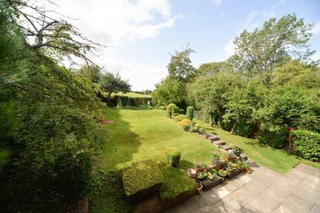 View of the garden.jpg